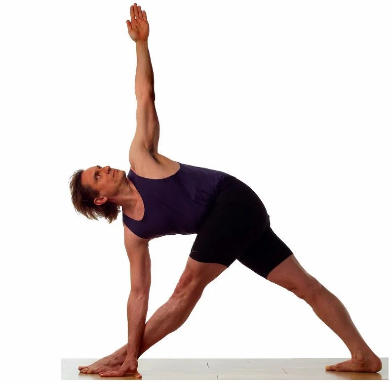 Twist Poses in Yoga - Parivrtta Trikonasana