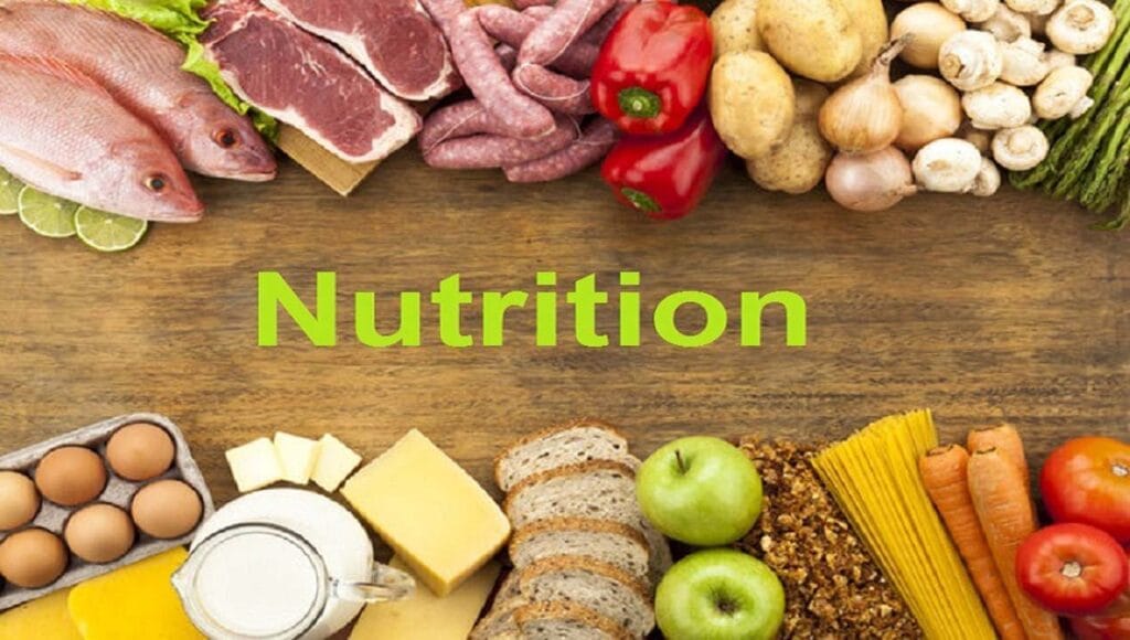 What is Functional Nutrition