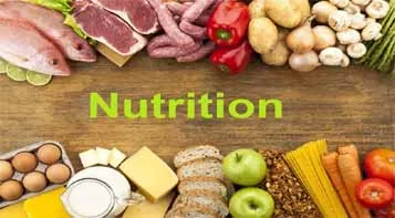 What is Functional Nutrition